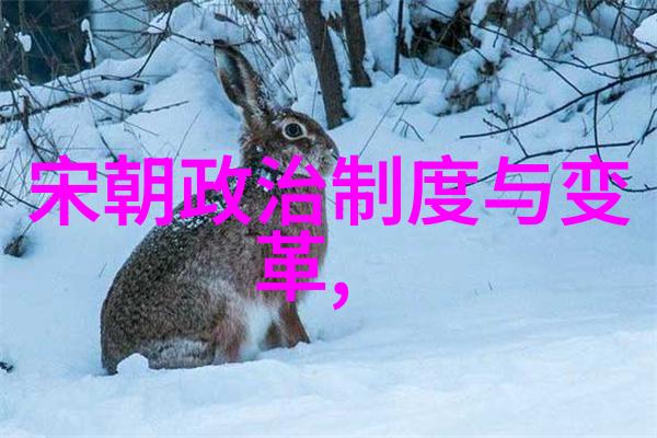 隋朝杨广皇帝安禄山背后的权力与辉煌