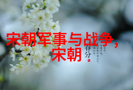 政权斗争与宫廷阴谋朱祁镇杀张太后的原因分析
