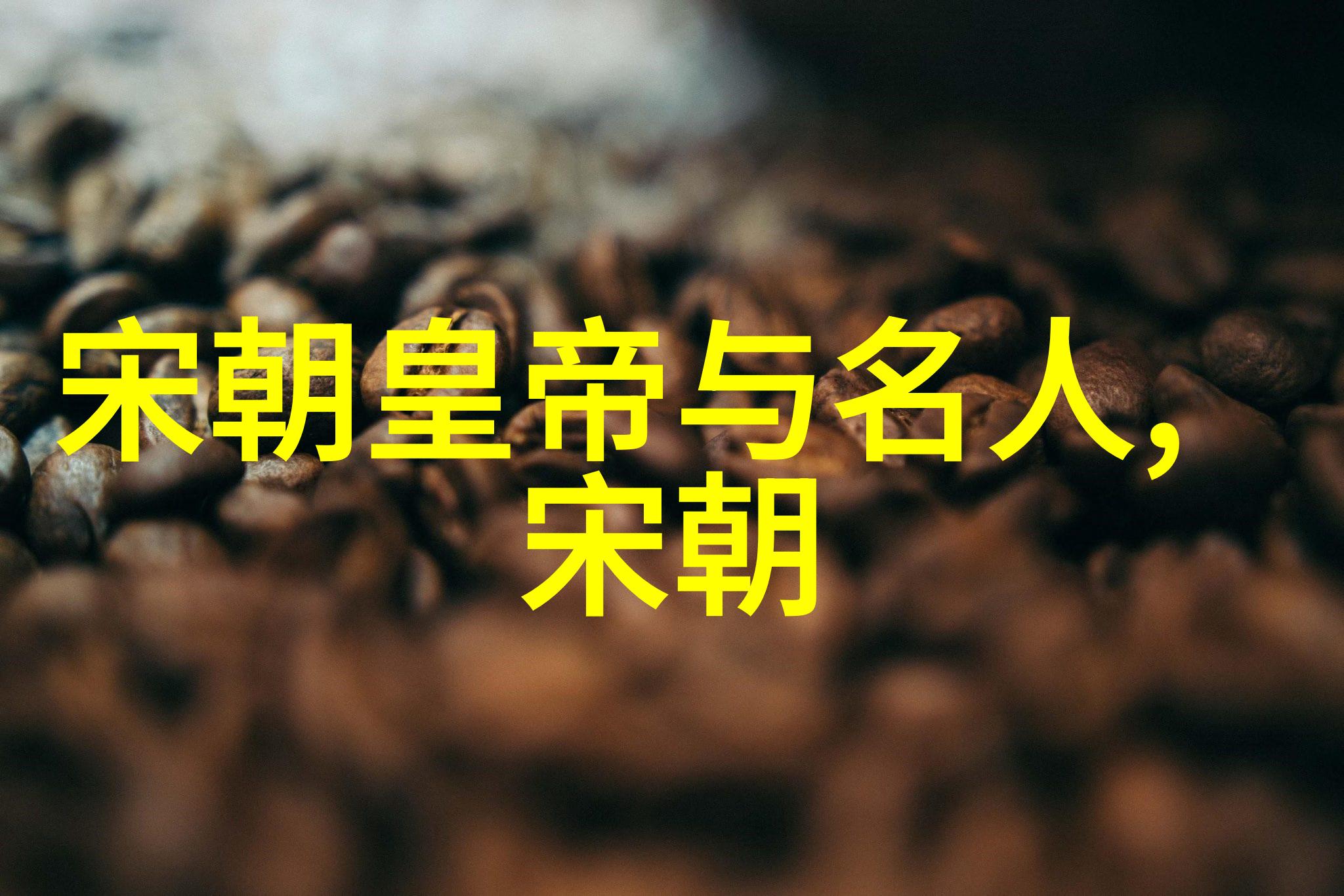 明朝的鼎盛与衰落历史的回声与教训