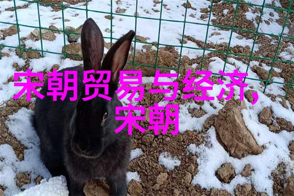 大明风华孙若微身边的丫鬟历史小说中的女性角色