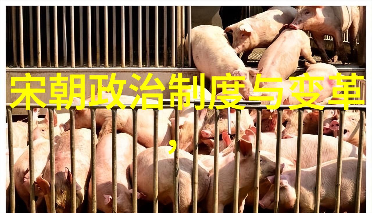 如何利用声音讲述历史故事