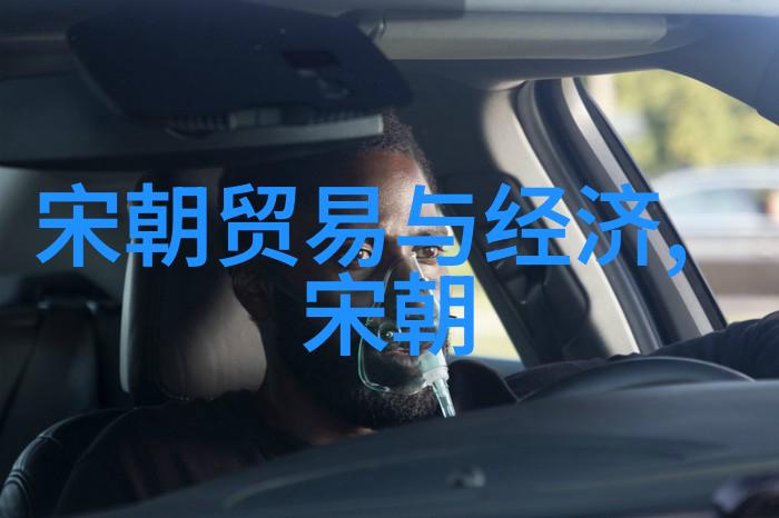 土木堡之变对中国历史的影响-突袭中的转折土木堡之战与明朝衰败的序幕