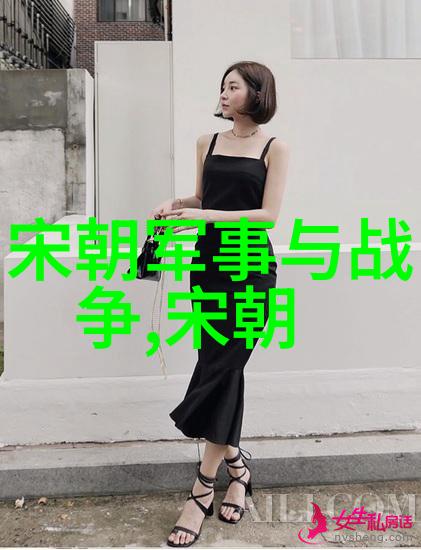 宋朝书法风格及其对后世影响