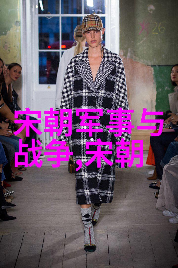 宋朝风云录北辽之战与南宋的浴血奋战