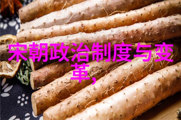 明朝最好的帝王是谁-明光谱中最耀眼的君主探索明朝最佳帝王的传奇