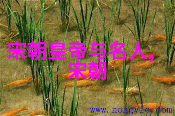 历史明朝咱们来看看这位皇帝排行榜吧