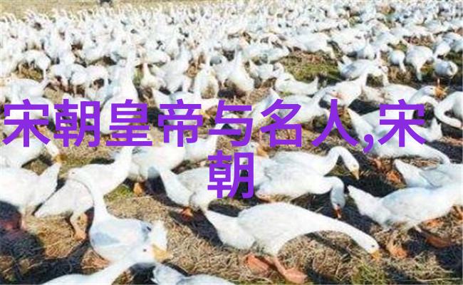 单雄信在武术中的运动防护体现