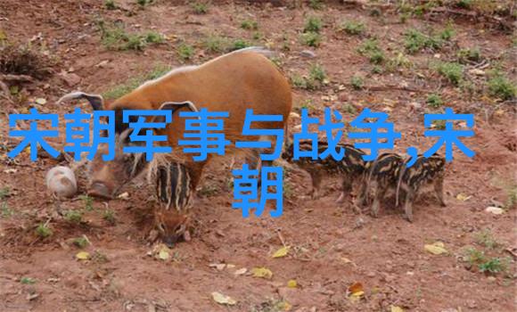 技术革新与军事变革二战期间哪些科技改变了战争格局