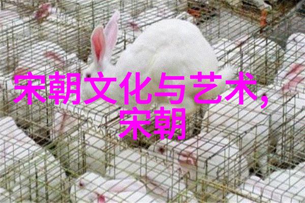 明朝怪事为什么多-揭秘江湖奇闻一段神秘的历史篇章