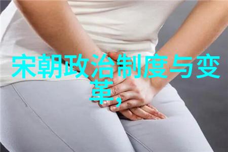 东华盛世宋朝的辉煌与繁荣
