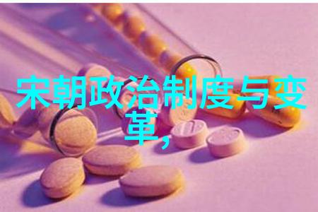 宋朝历史app背后的秘密是什么