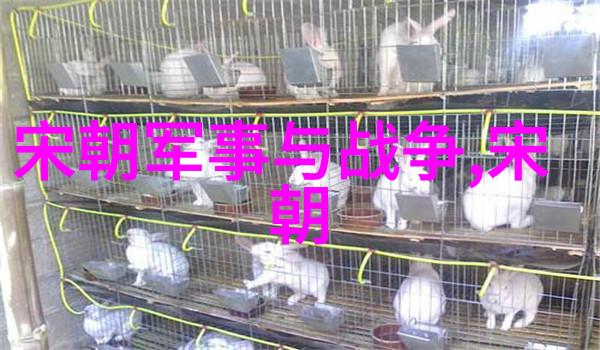 盛世文治元朝科举制度的兴衰与影响