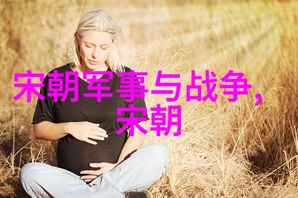 中国古代的辉煌元朝的征服与文化交融
