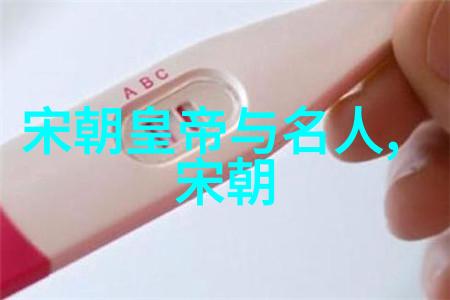 明朝风云录权谋斗争文化繁荣与边疆抗击