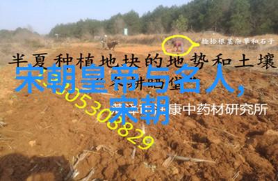 明朝历代走进历史的长廊从朱元璋到崇祯我眼中的明朝君主