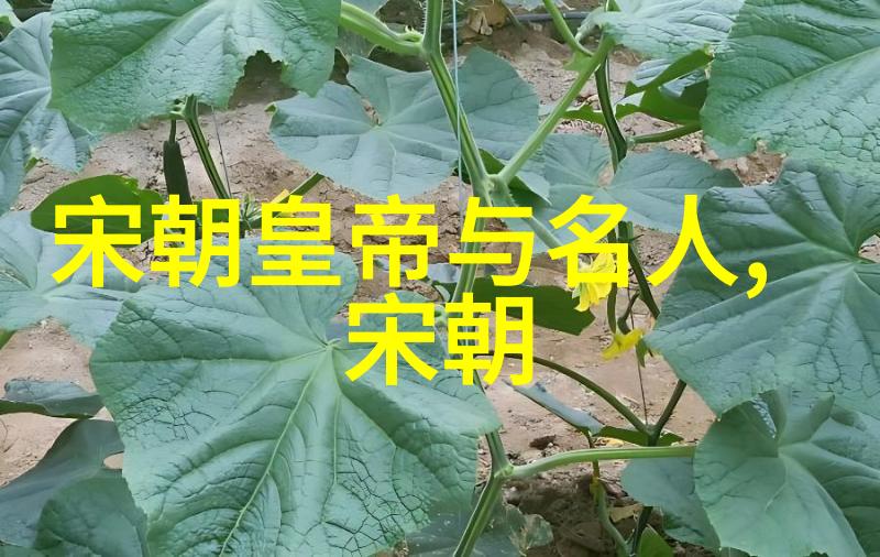 元朝征服南宋的迷雾历史的遗忘与真相的追寻