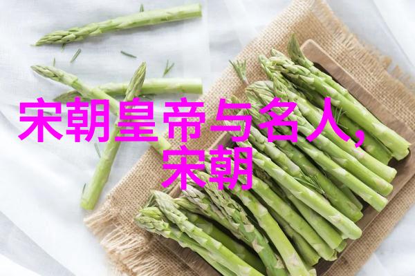 南宋历史简介中国历史南宋时期概述