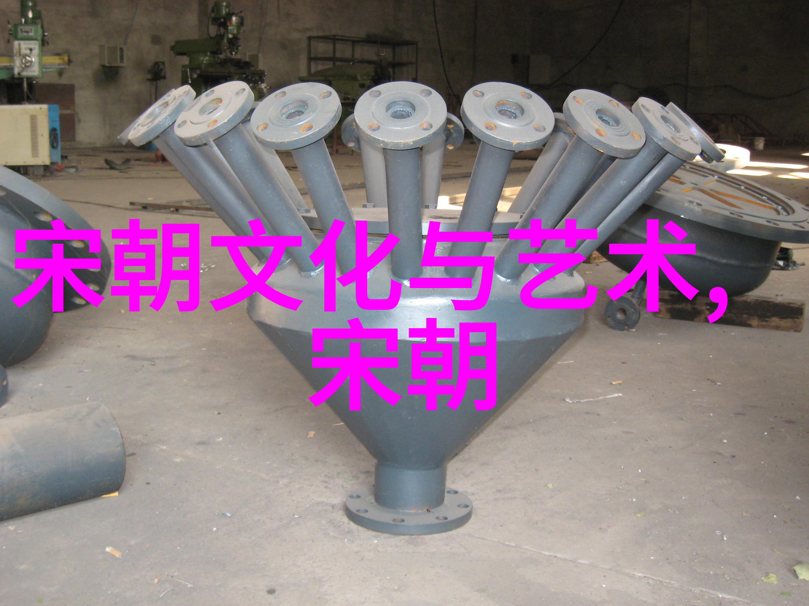 清朝铁帽子王换新衣探秘过年皇帝的服饰文化与历史