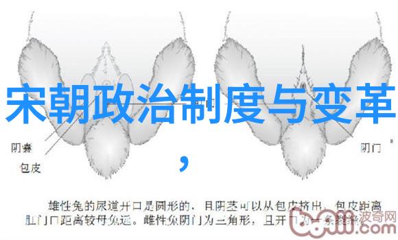 元代文化与艺术能否成为未来的中国电视剧亮点