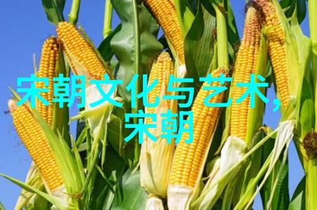 南宋英雄孟珙的屈辱金国皇后的耻辱与孟珙的悲剧