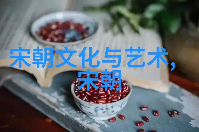 宋代社会变化的表现我看宋代从商人街到官府衙门