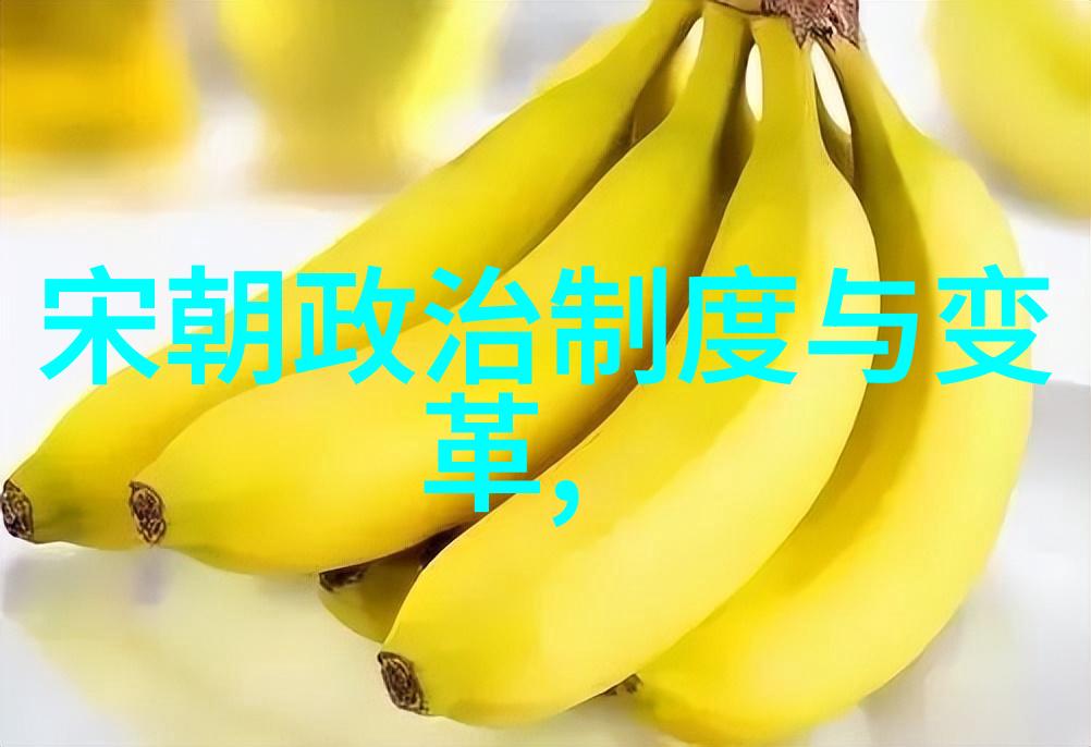 揭秘古今奇案中国古代经典之谜解析