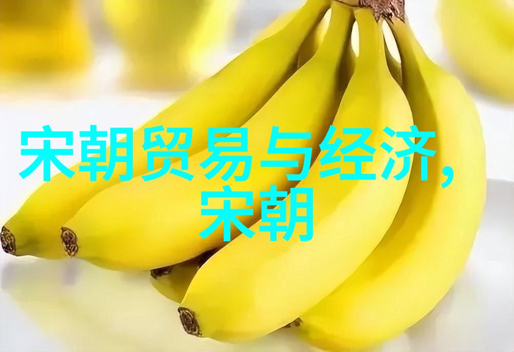 中国古代科技发达时期宋朝在这方面有什么显著成就吗具体可以举例说明