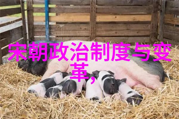孔庆堂科研医院的笑料库