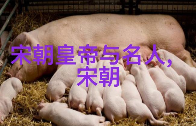 宋朝历史成就之谜它是如何在战乱中复兴的