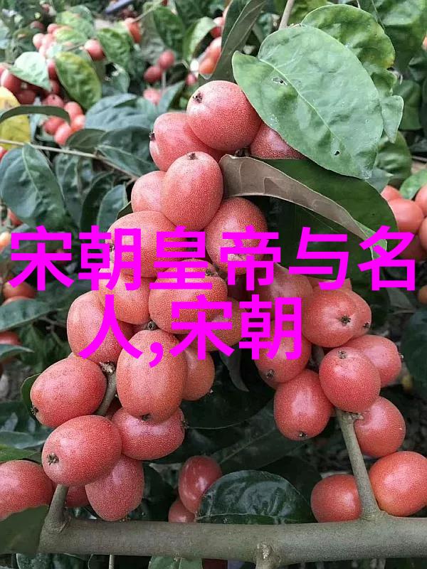 明朝秘录帝影之谜