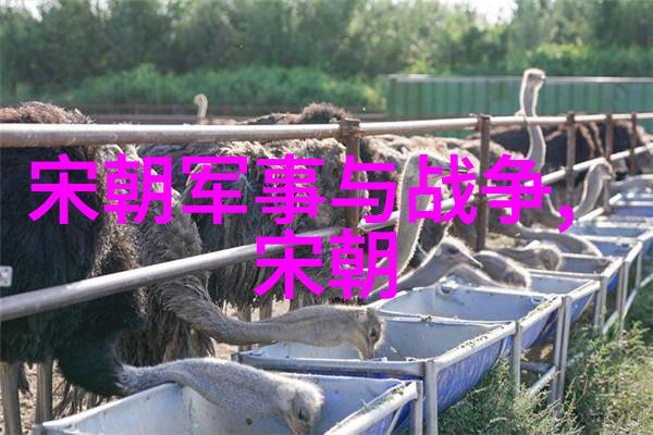 秦始皇焚书坑儒历史谜团背后的野史真相