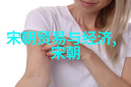 北宋的政治与文化兴盛从赵匡胤到徽宗