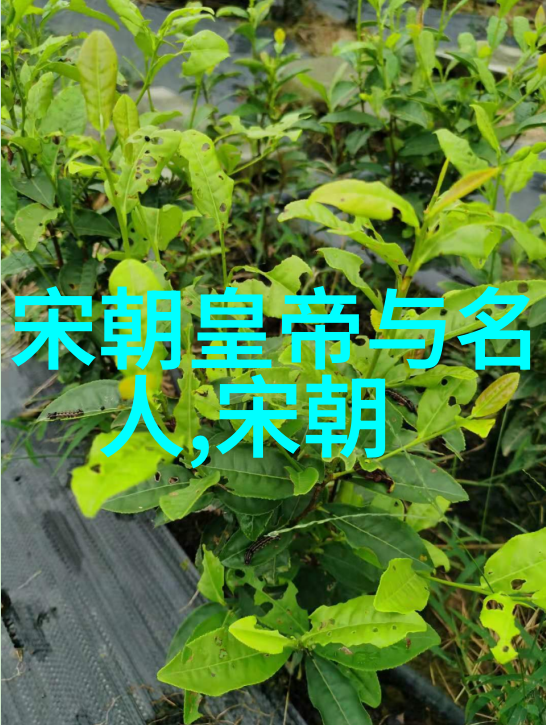 明朝那些事有声小说背后的历史故事探秘