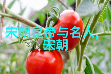 明朝历代咱来看看它的皇帝们吧