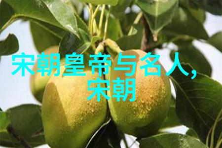 历史探究-辽阔的元朝从蒙古帝国到大元王朝