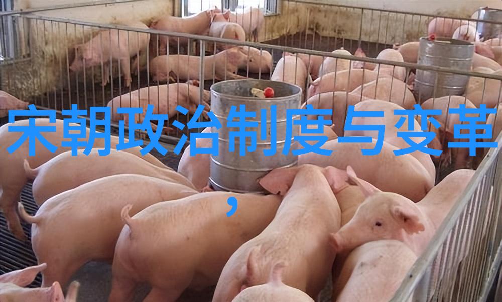 元代君主们对国家有什么样的贡献和挑战吗