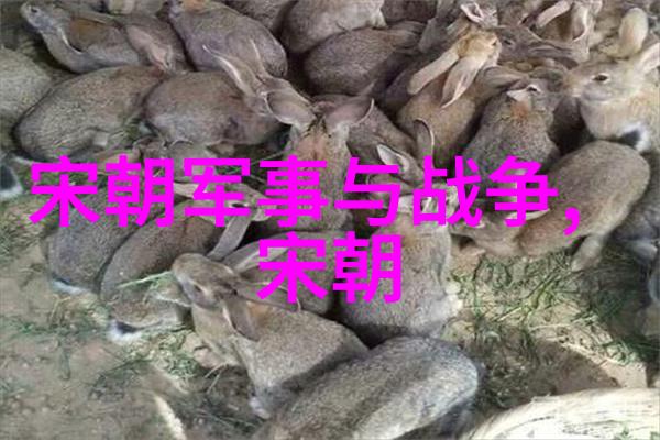 明朝那些事儿笔趣阁揭秘历史真相的奇妙阅读之旅