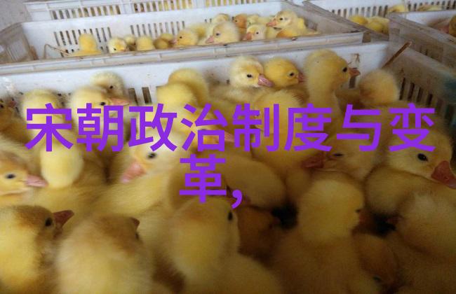 明朝君主辉煌史迹回顾