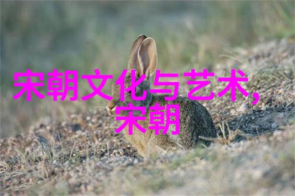 明末清初的风云变幻从皇权斗争到民间故事