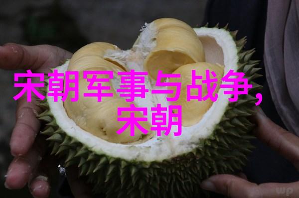 元朝历史典故简短中国明清时期的历史事件回顾