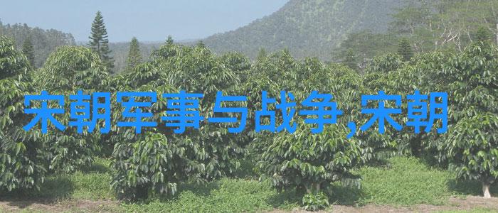 北周的帝位之变杨坚的权力交接