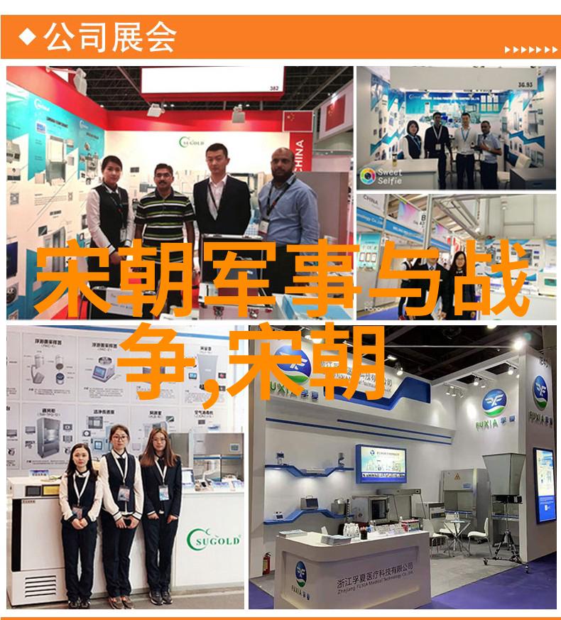 宋朝皇帝与名人的秘密赵光义登基之谜权贵们为何沉默