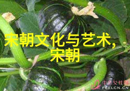 石家庄市教科研网科研后浪站C位揭秘星空奥秘