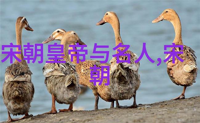 河南文化奇趣录从五谷丰登到豫剧飙升的幽默故事