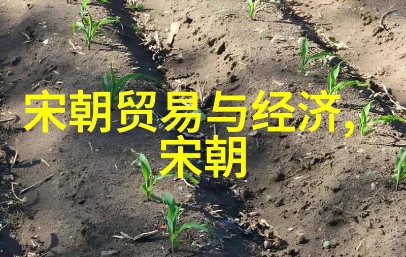 探索中国悠久的历史朝代变迁之旅