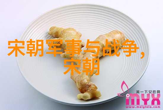大辽国少林拳法武当山咏春拳太极门王进
