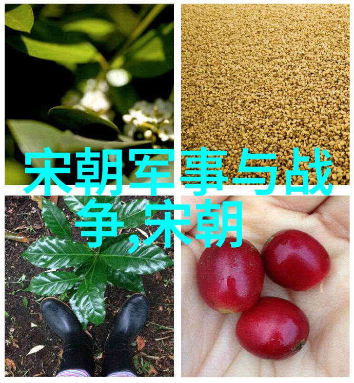 为什么欧洲不敢打明朝我告诉你明朝那时候可是真的强大