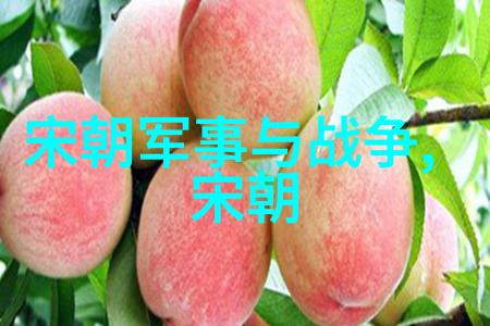 明朝镜鉴帝国辉煌与隐忧的深度探究