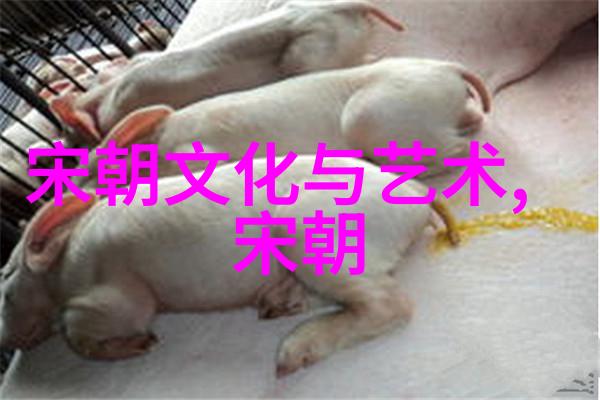 兵临城下血战的序幕