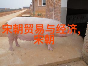 明朝那些事读书心得100字-时光倒流沉浸于明朝的历史风云